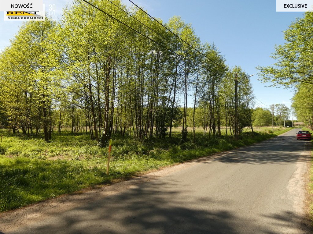 Działka budowlana na sprzedaż Łoźnica  3 004m2 Foto 1