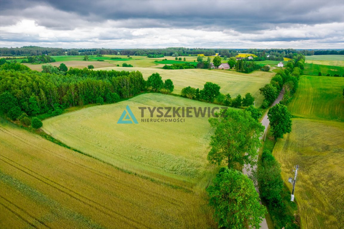 Działka budowlana na sprzedaż Dąbrówka  7 800m2 Foto 2