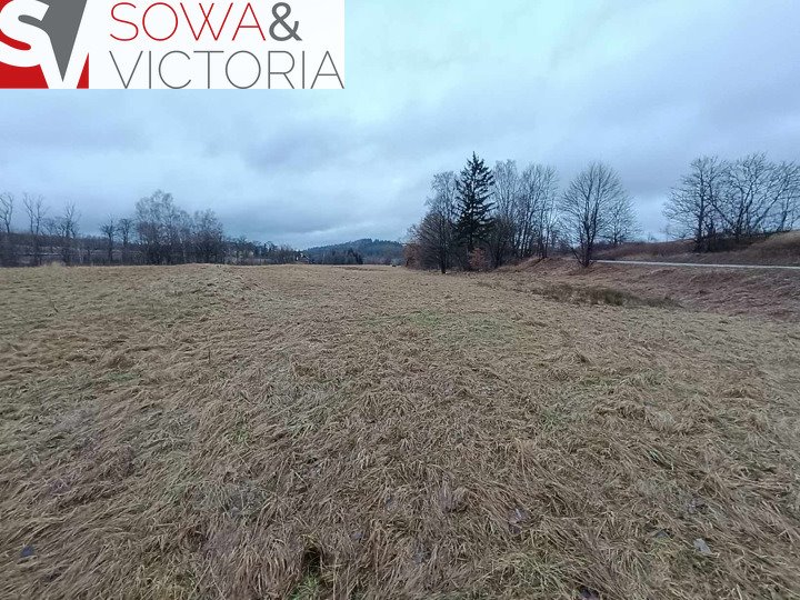 Działka komercyjna na sprzedaż Boguszów-Gorce, Gorce  12 840m2 Foto 4