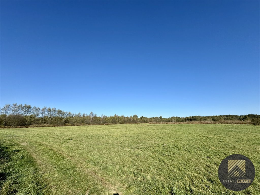 Działka inwestycyjna na sprzedaż Sieniawa  177 000m2 Foto 4