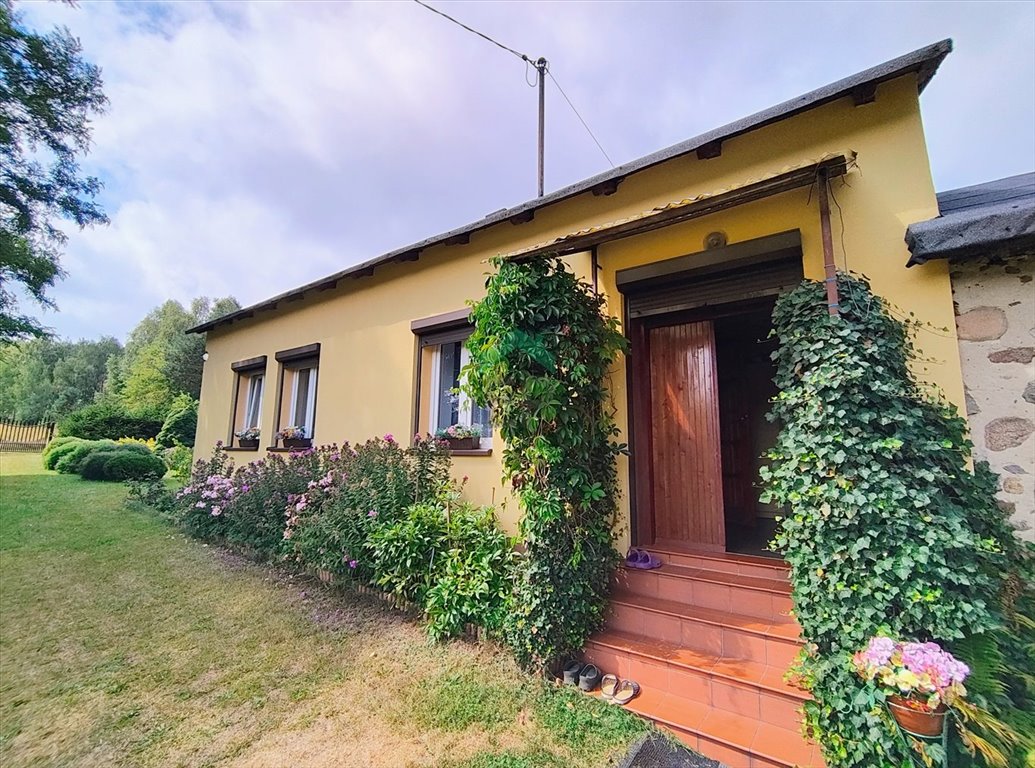 Na sprzedaż dom 80 m² z dużą działką 2500 m² w Dobryszycach Dobryszyce  80m2 Foto 1