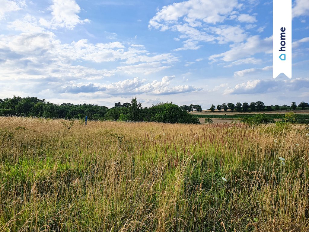 Działka budowlana na sprzedaż Wińsko, Parkowa  1 405m2 Foto 4