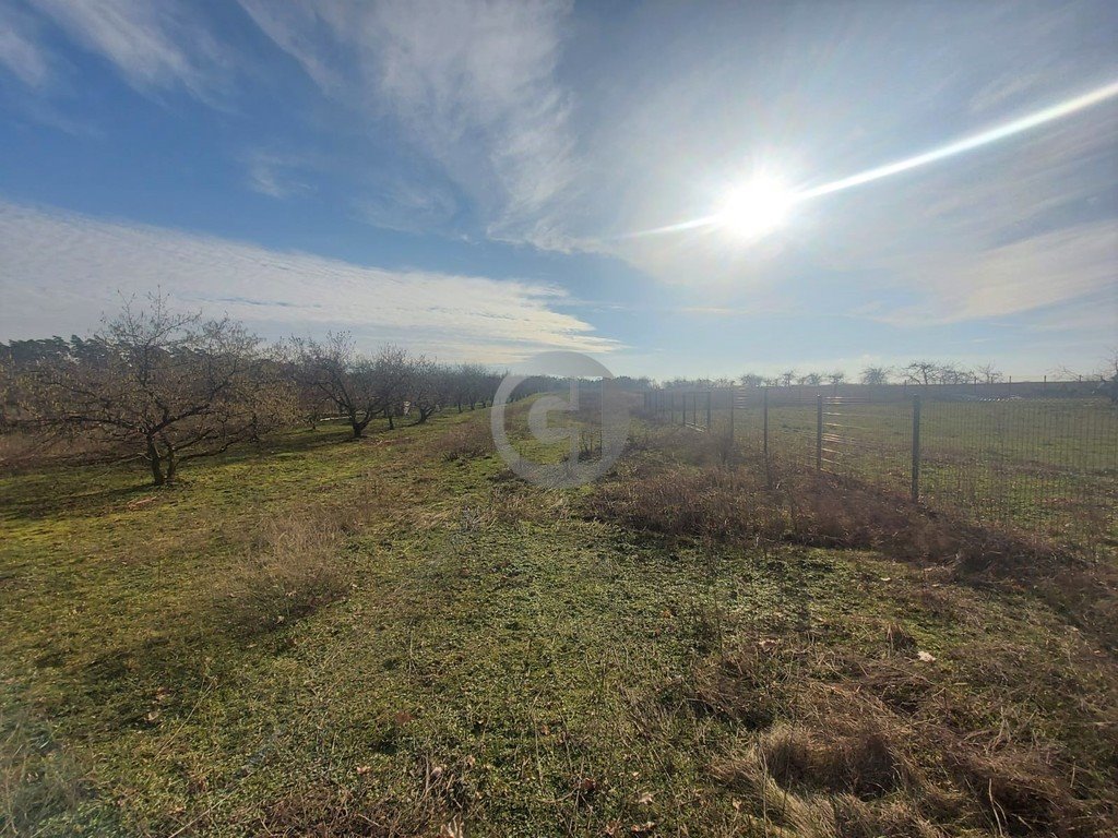 Działka 1200 m² pod dom w Santocku - spokojna okolica. Santocko  1 200m2 Foto 1