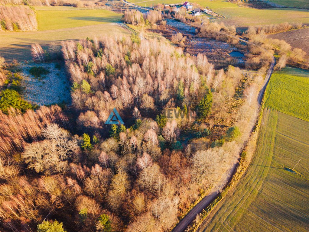 Działka gospodarstwo rolne na sprzedaż Ustarbowo  2 814m2 Foto 1