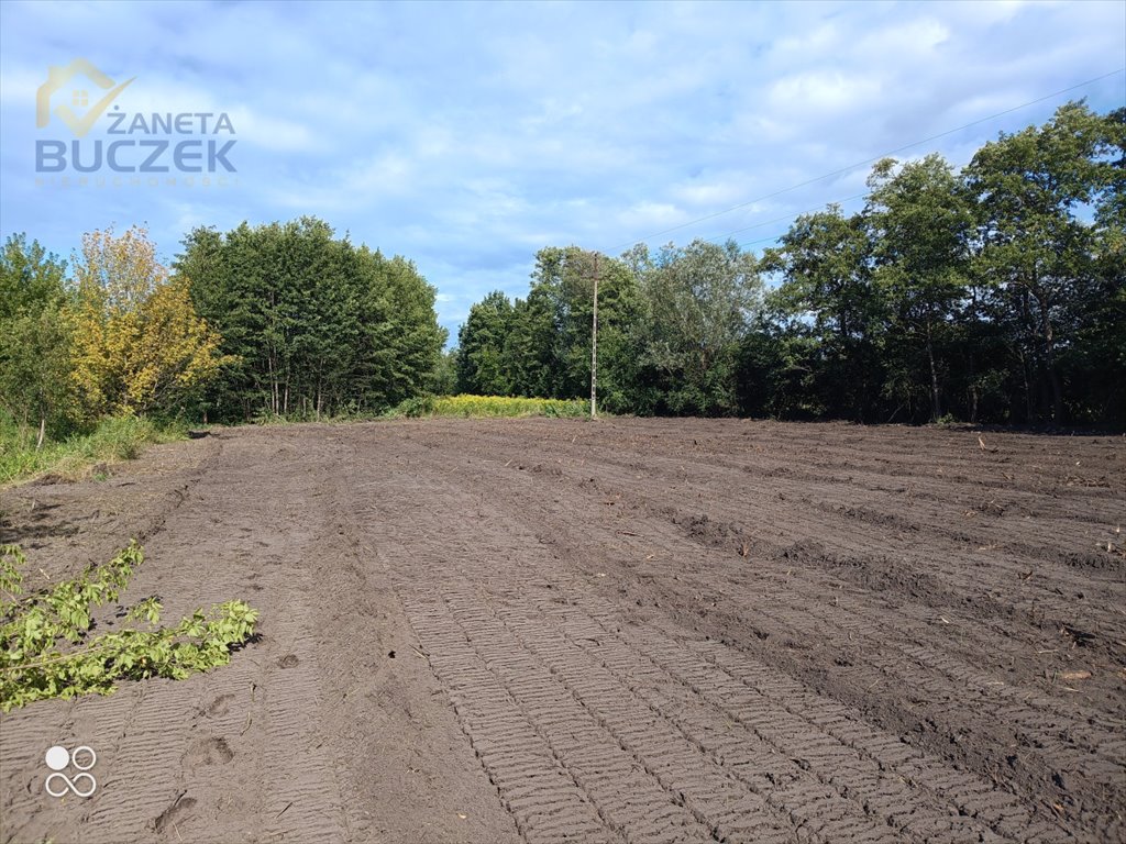 Działki w Szeligach z warunkami zabudowy - polecam Szeligi  2 166m2 Foto 1