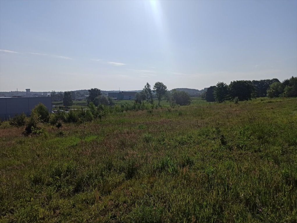 Działka przemysłowo-handlowa na sprzedaż Chwaszczyno, Rewerenda, Rewerenda  8 132m2 Foto 9