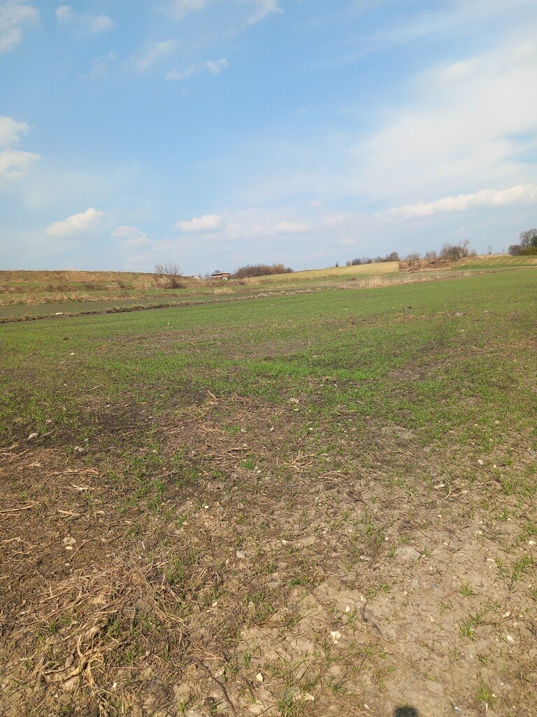 Działka 6600 m² pod zabudowę, asfalt, blisko Lublina Jakubowice Murowane  6 600m2 Foto 1