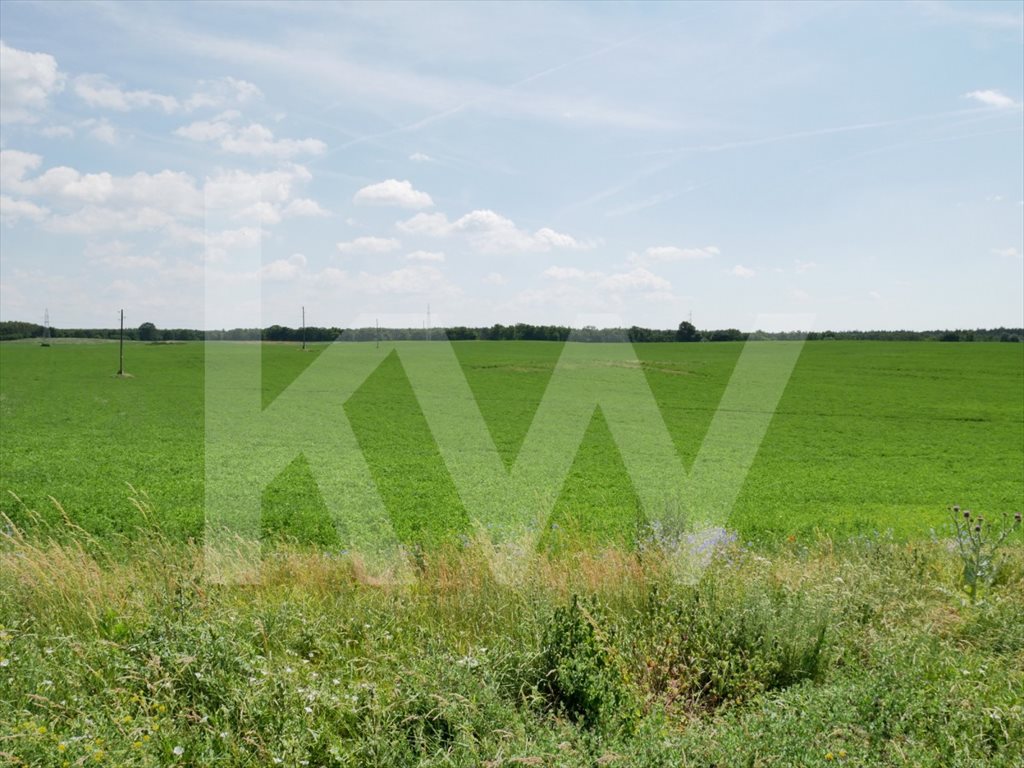Działka rolna pod dzierżawę Białęgi 1 410 000m2 Foto 1 Działka rolna pod dzierżawę Białęgi 1 410 000m2 Foto 1