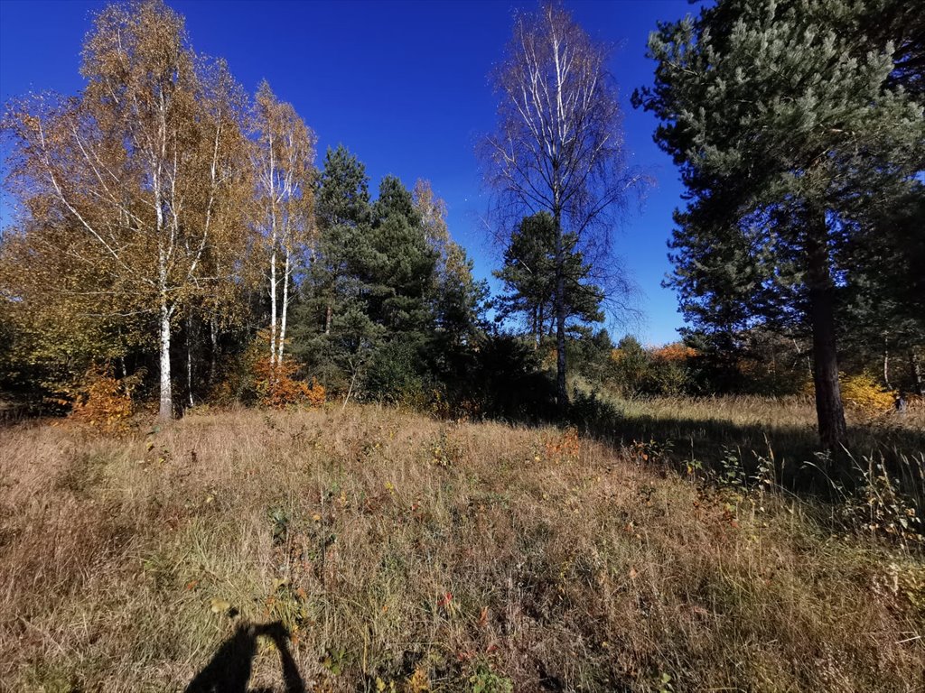 Działka budowlana na sprzedaż Częstochowa, Mirów, Hektarowa  1 089m2 Foto 6