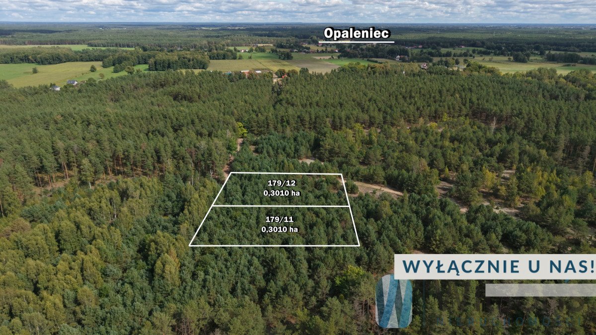 Zapraszam do zakupu działki rolnej 3007 m² w Opalencu Opaleniec  3 007m2 Foto 1