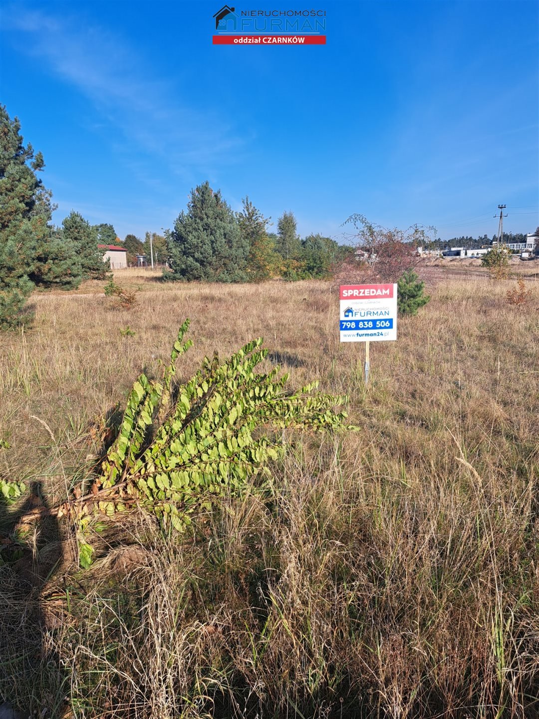Działka 2650 m² w Wieleniu (spokojne osiedle, media w granicach) Wieleń  2 650m2 Foto 1