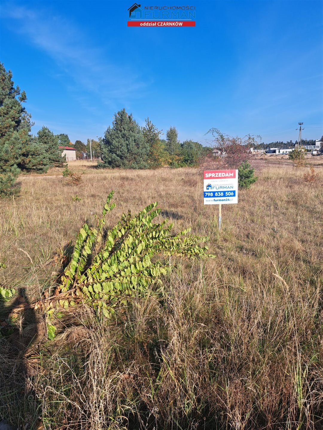 Działka budowlana na sprzedaż Wieleń  2 650m2 Foto 1