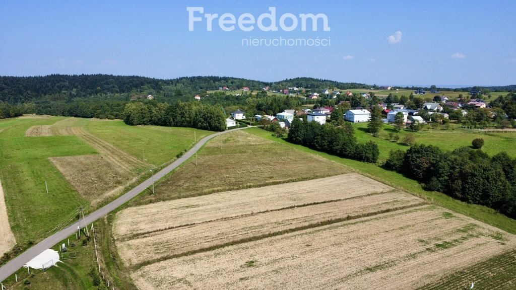 Działka budowlana na sprzedaż Kobylany  4 000m2 Foto 6