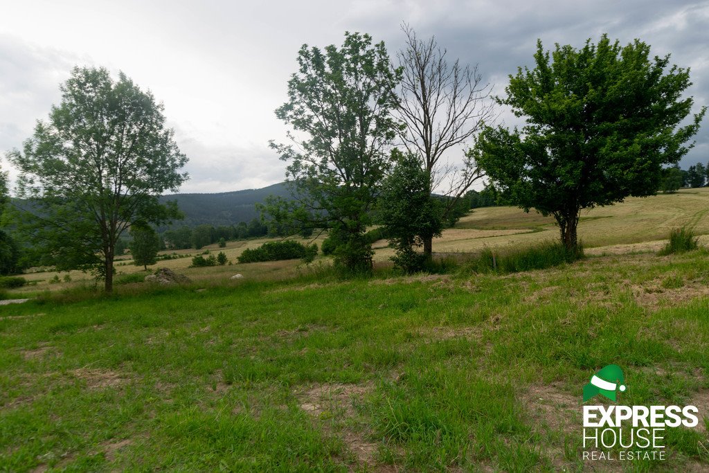 Działka budowlana na sprzedaż Stronie Śląskie, Polna  2 617m2 Foto 1