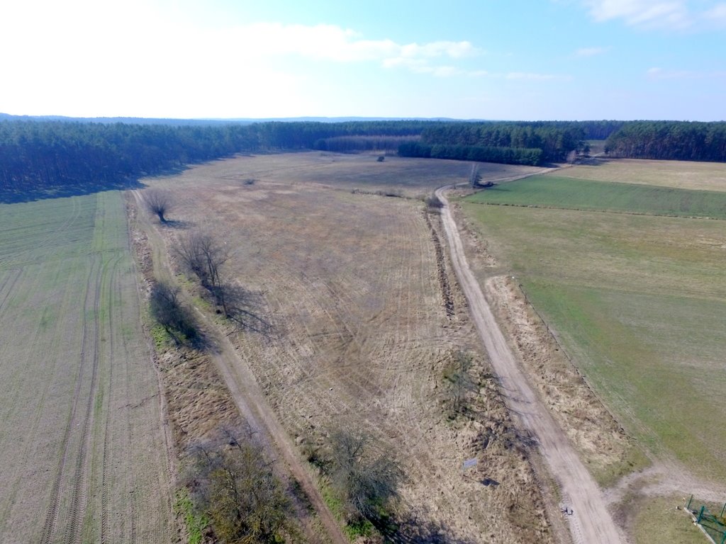 Działka budowlana na sprzedaż Trzebów  54 700m2 Foto 7