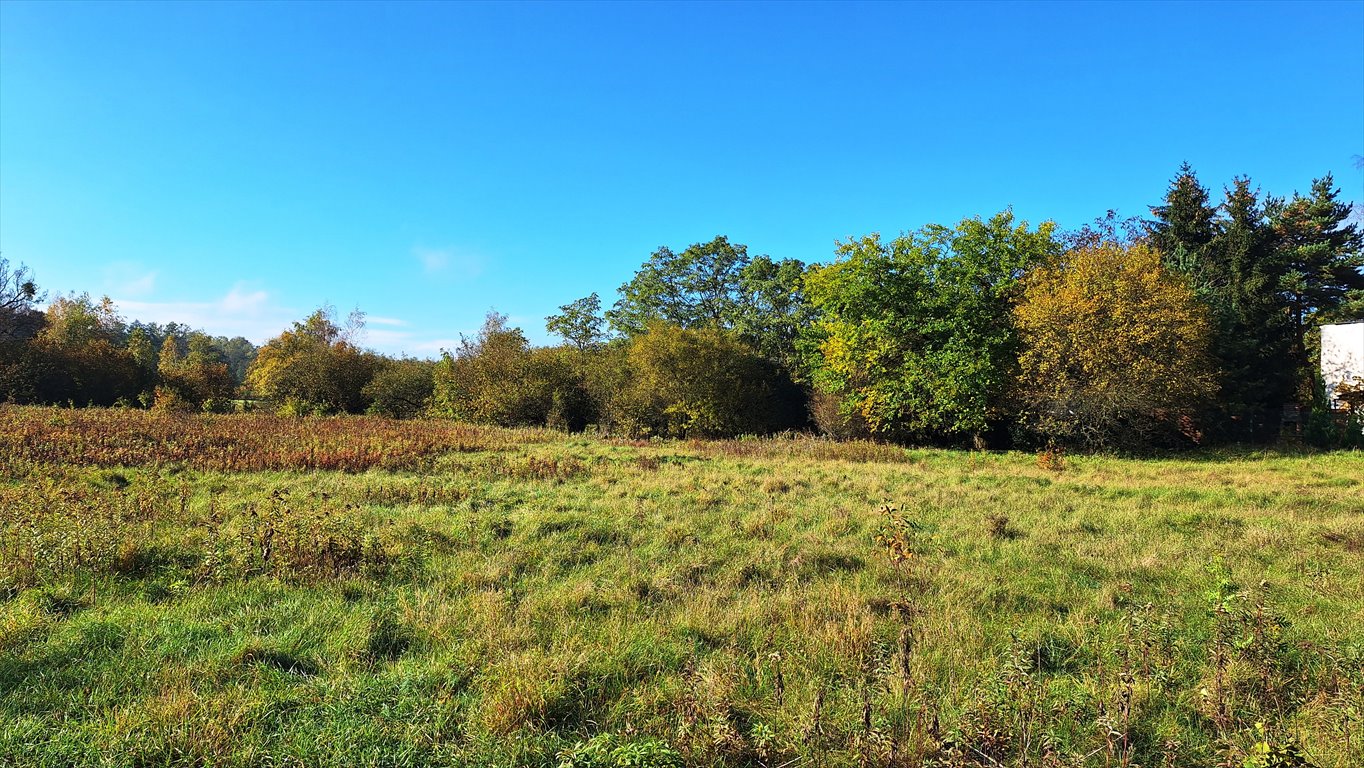 Działka budowlana na sprzedaż Łomianki, Dąbrowa, Prosta  1 005m2 Foto 3