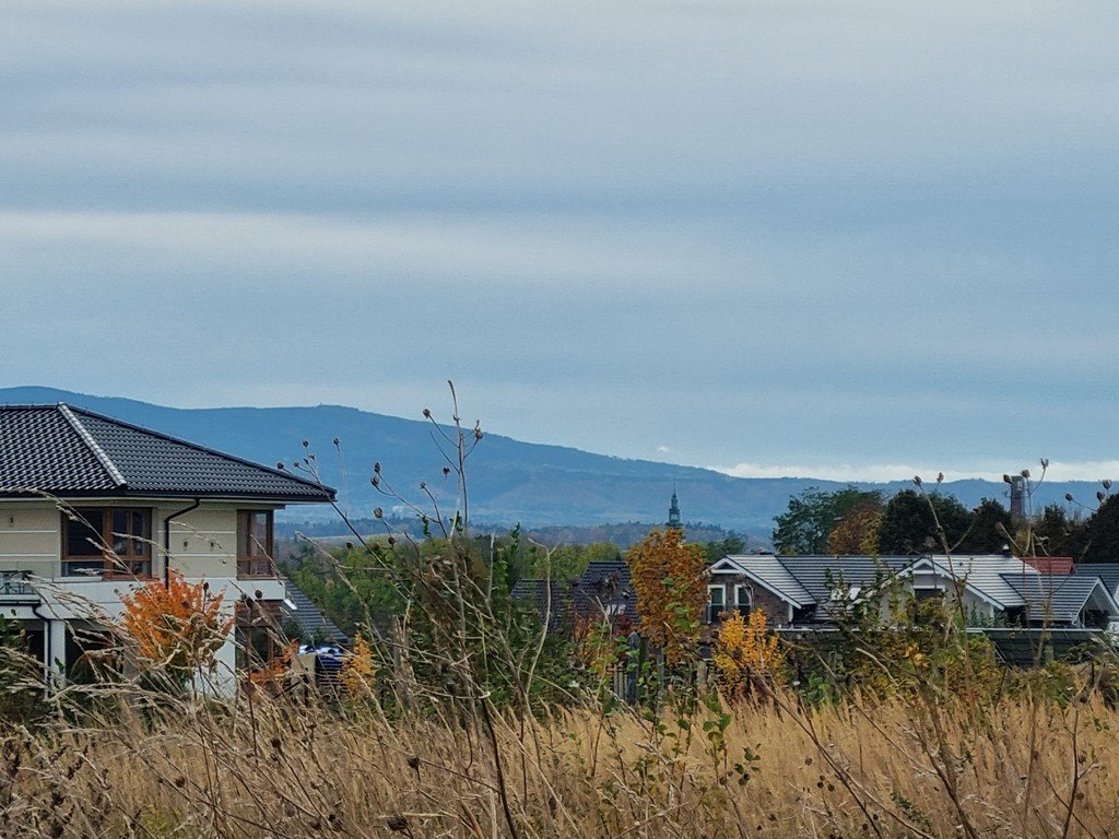 Działka inna na sprzedaż Bystrzyca Kłodzka  1 625m2 Foto 10