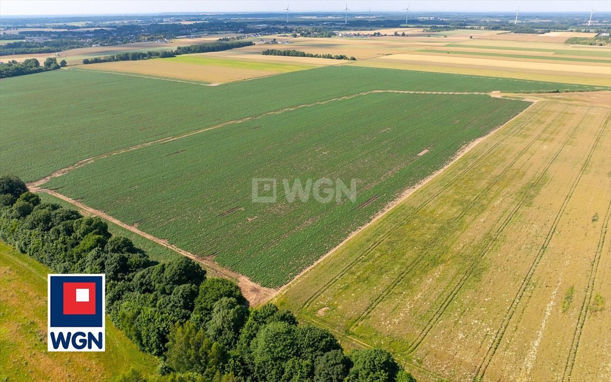 Działka budowlana na sprzedaż Słupsk, Stanisława Szpilewskiego  3 485m2 Foto 9