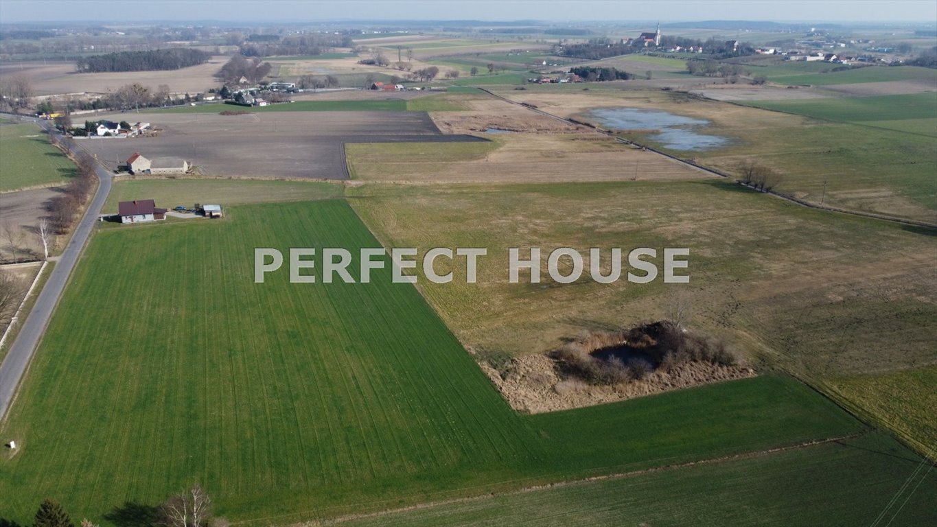 Działka 4054 m² z stawem - idealna pod rezydencję lub agroturystykę Nowy Dwór  4 054m2 Foto 1