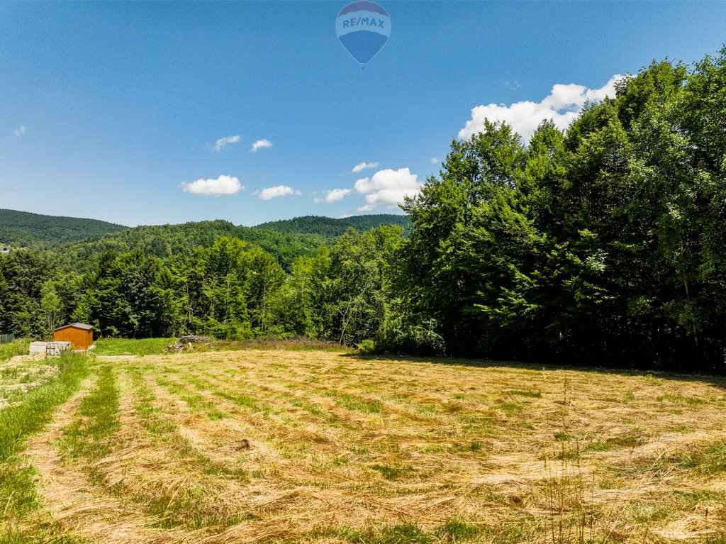 Działka budowlana na sprzedaż Grzechynia  988m2 Foto 4