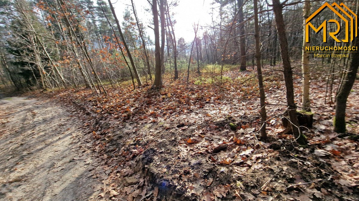 Działka rolna na sprzedaż Stare Żukowice  2 200m2 Foto 3