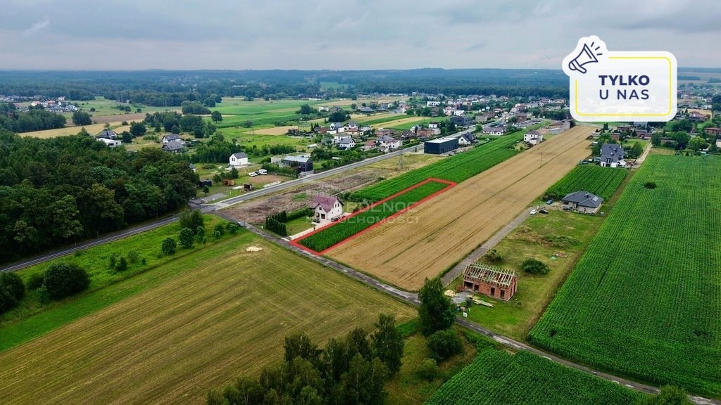 Działka budowlana na sprzedaż Paniówki, Skotnicka  2 500m2 Foto 1