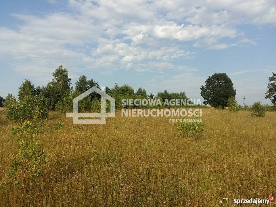 Działka 1500 m² wśród lasów i jezior Kaszubskich Nowa Wieś  1 500m2 Foto 1