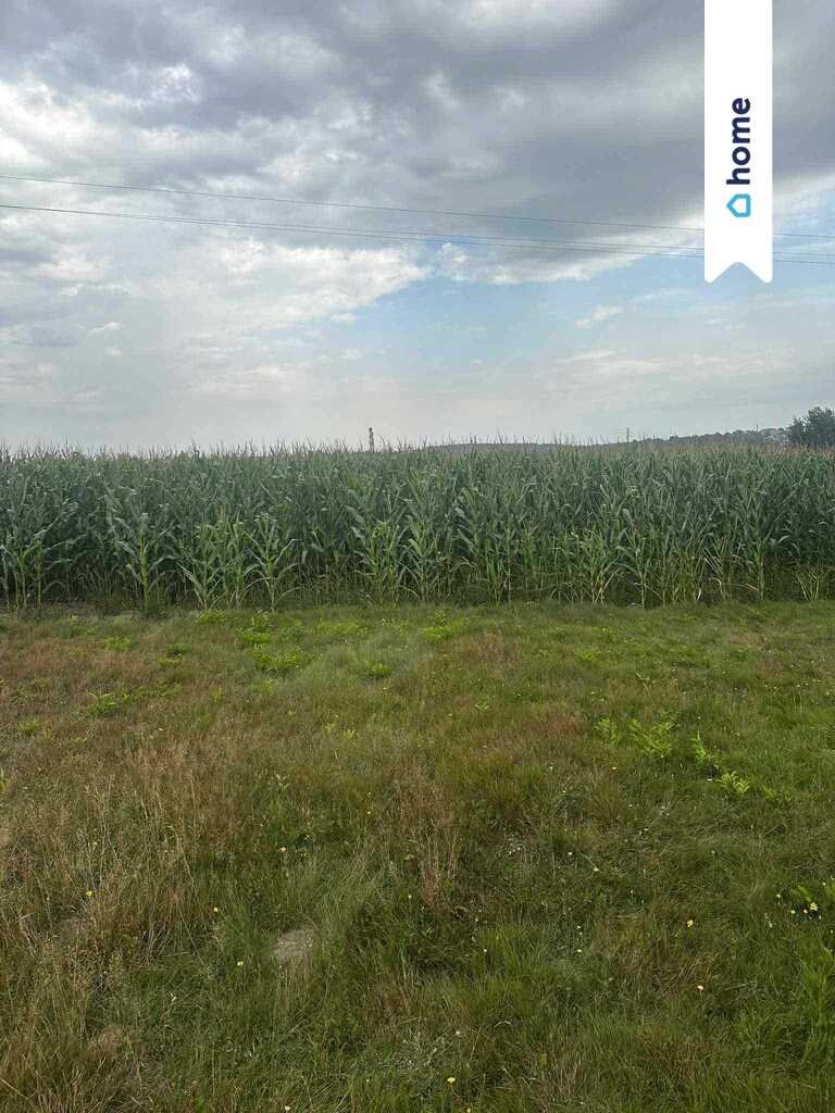 Działka rolna na sprzedaż Rybnik, Radziejów, Popielowska  1 580m2 Foto 1