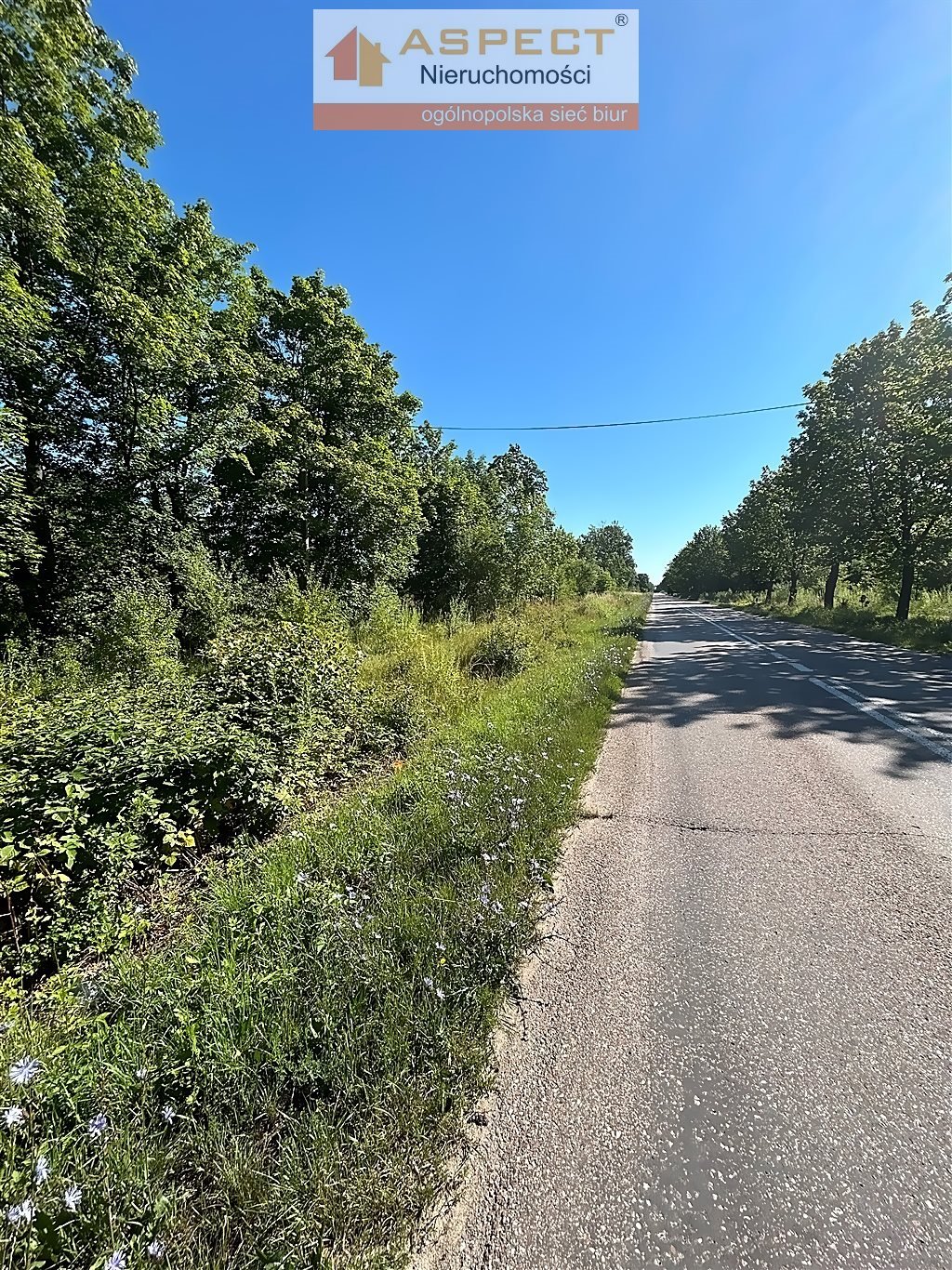 Działka inna na sprzedaż Turośń Kościelna, Baciuty  3 000m2 Foto 6