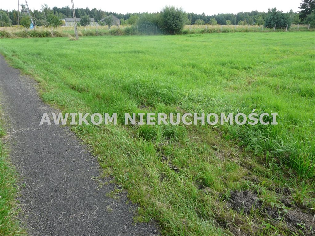 Działka rolna na sprzedaż Wólka Łasiecka  13 300m2 Foto 1