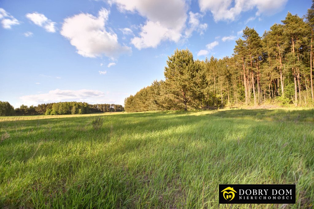 Działka budowlana na sprzedaż Koźliki  1 038m2 Foto 1