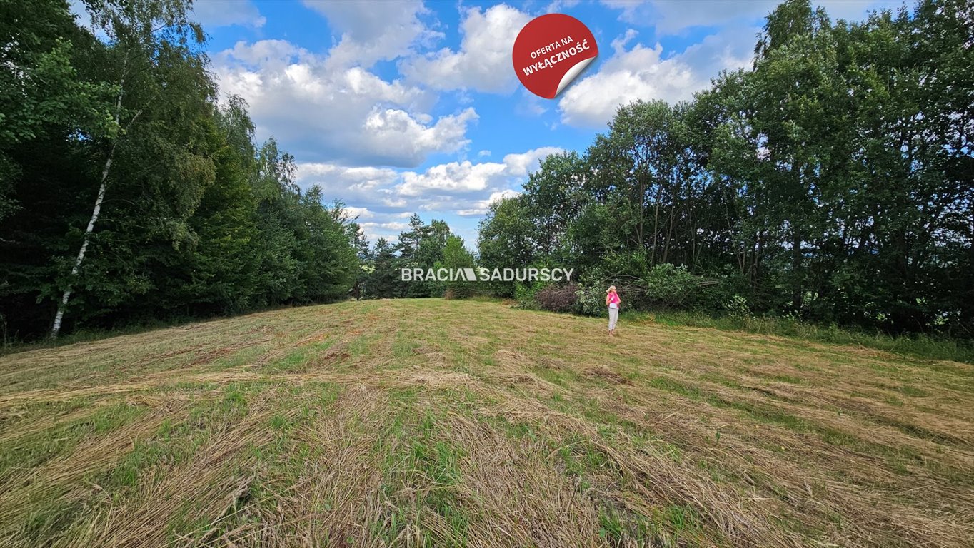 Działka budowlana na sprzedaż Połom Duży  3 500m2 Foto 1