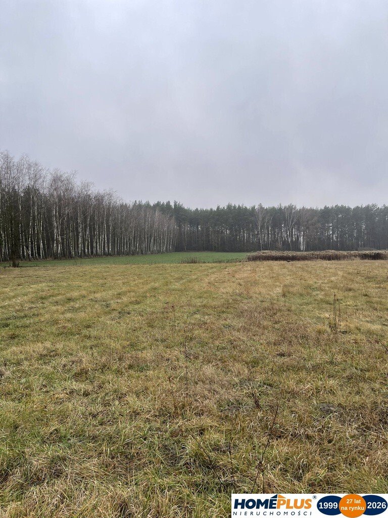 Działka 4113 m² pod zabudowę w Sierakowie - polecam! Sieraków  4 113m2 Foto 1