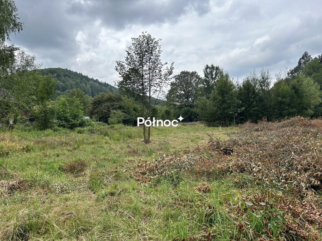 Działka 3001 m² z mediami, las, szlak turystyczny - polecam! Piechowice, Górzyniec  3 001m2 Foto 1