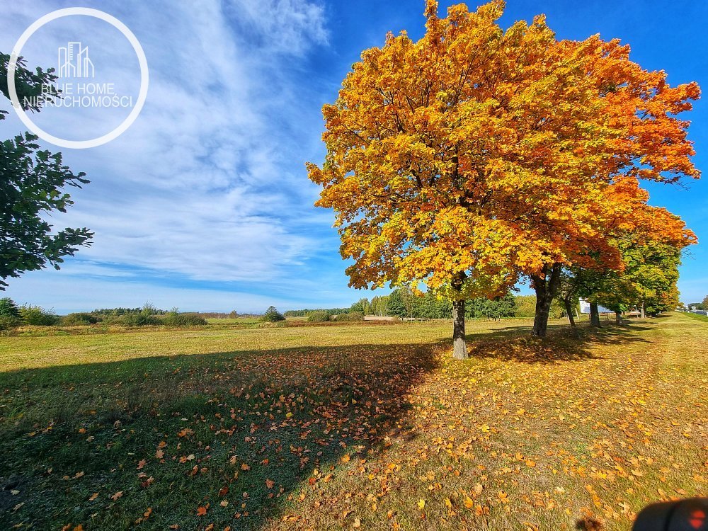 Działka budowlana na sprzedaż Suszno  3 682m2 Foto 1