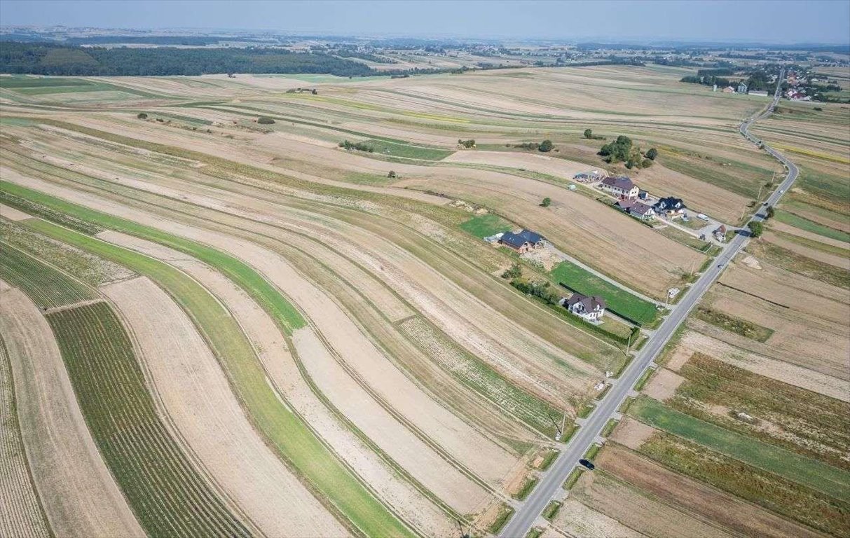 Działka siedliskowa na sprzedaż Sułoszowa  29 400m2 Foto 8