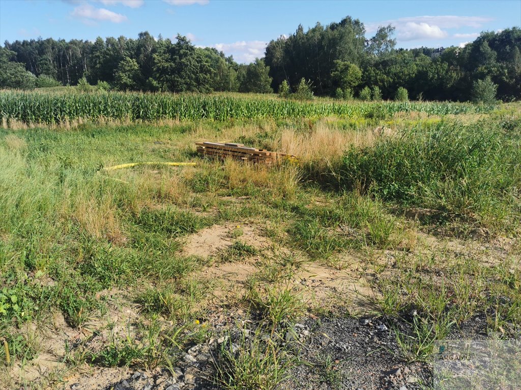 Działka budowlana na sprzedaż Wodzisław Śląski  990m2 Foto 3