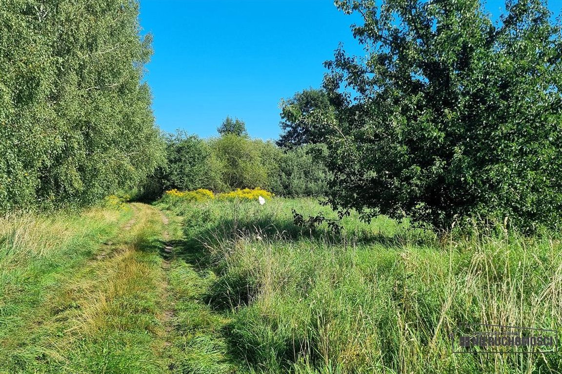 Działka siedliskowa na sprzedaż Marcelin  39 800m2 Foto 12