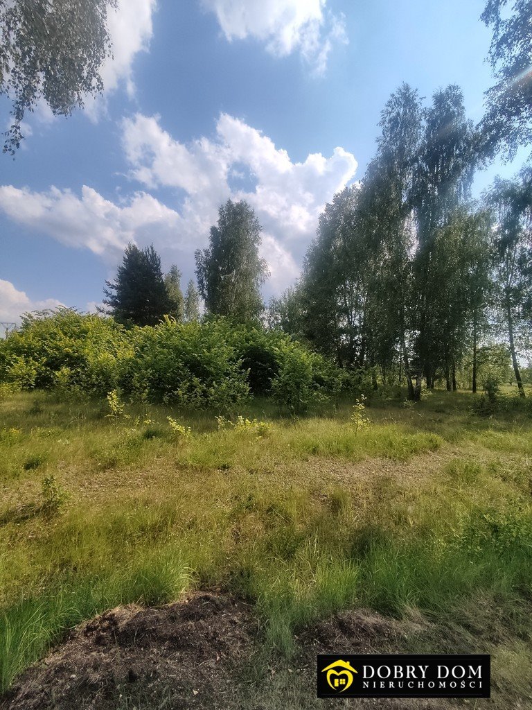 Działka siedliskowa na sprzedaż Michnówka  14 140m2 Foto 4