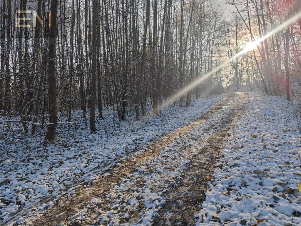 Działka budowlana na sprzedaż Babica  6 000m2 Foto 15