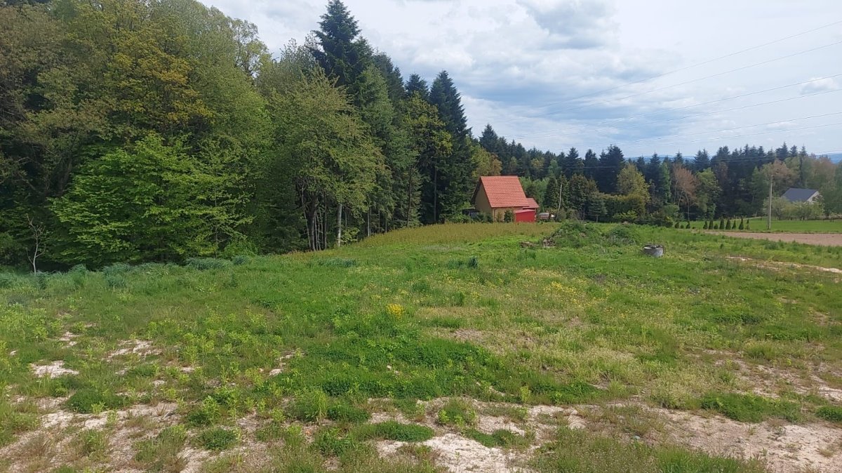 Działka budowlana na sprzedaż Ciężkowice, Ciężkowice, Kąśna Górna  1 000m2 Foto 5