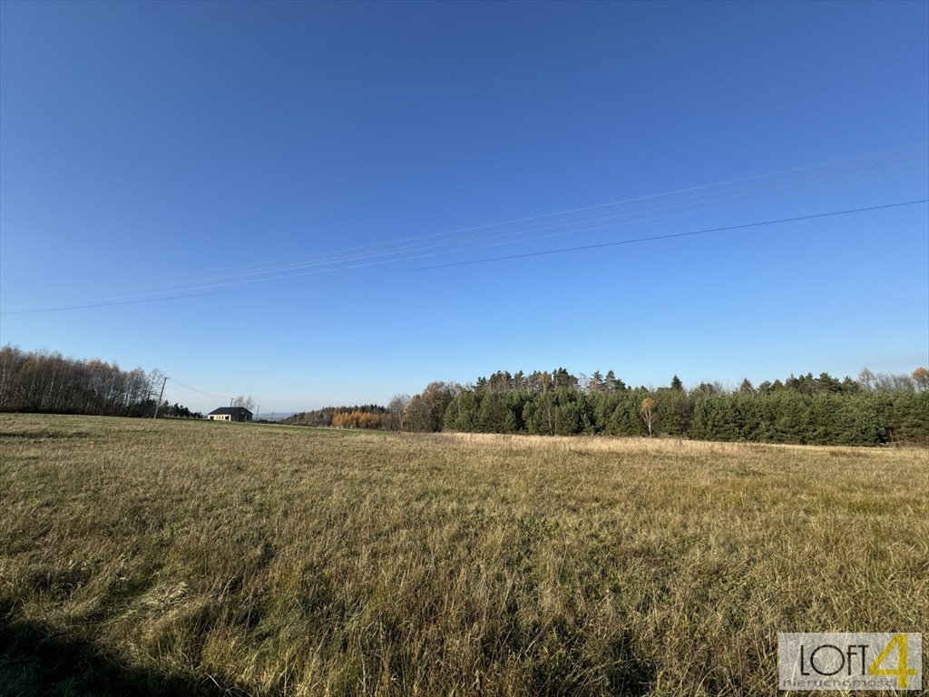 Działka budowlana na sprzedaż Polichty  3 000m2 Foto 11