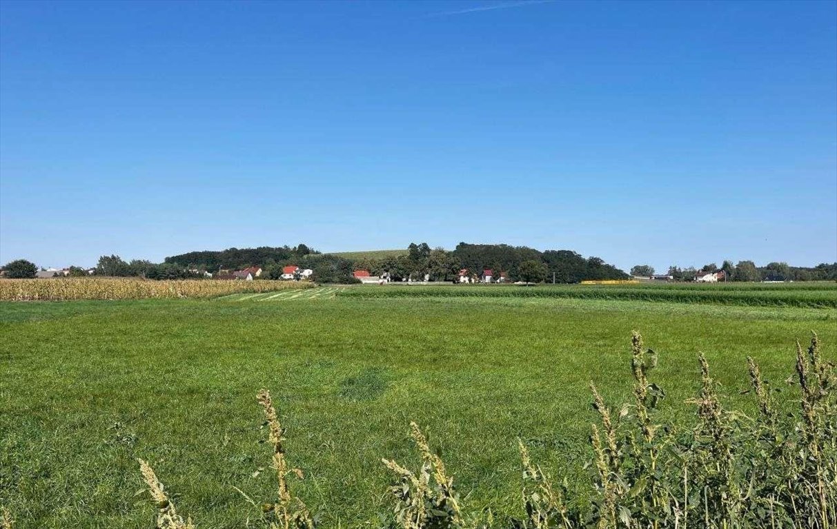 Działka budowlana na sprzedaż Gostyń  56 000m2 Foto 5