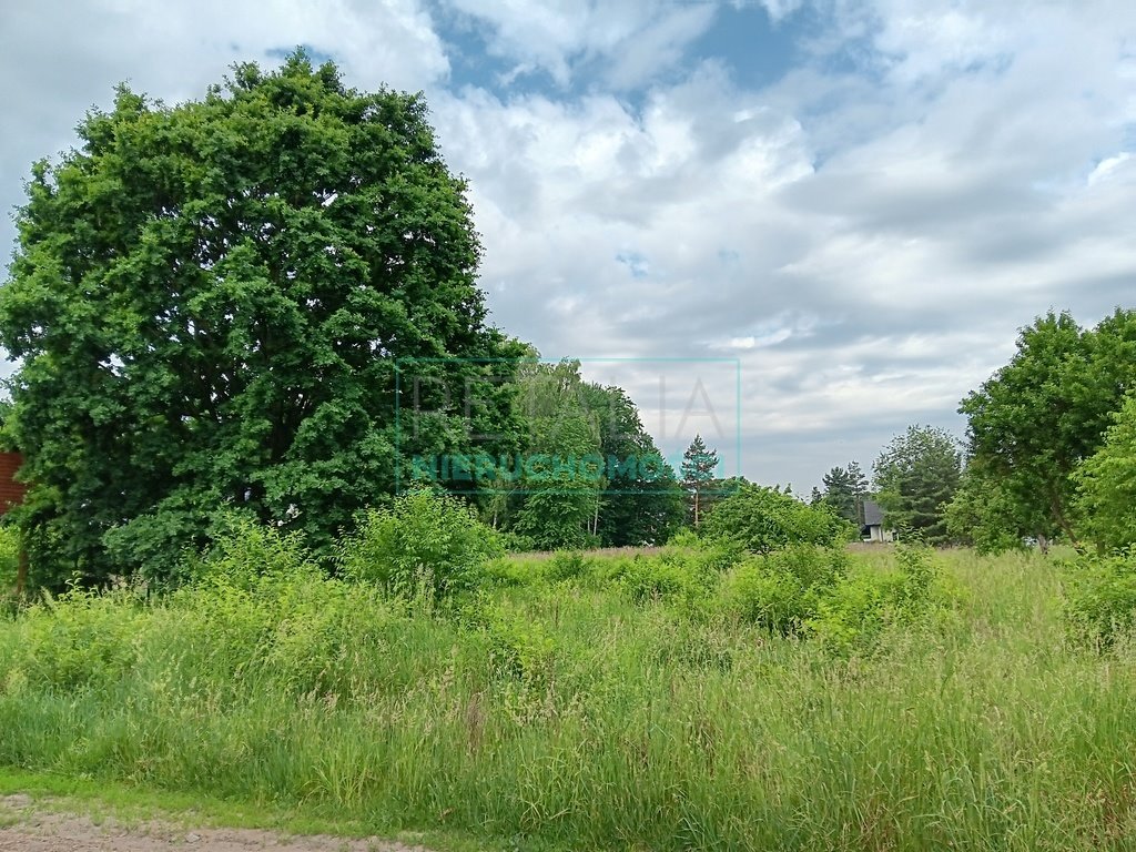 Działka budowlana na sprzedaż Żółwin  1 000m2 Foto 1