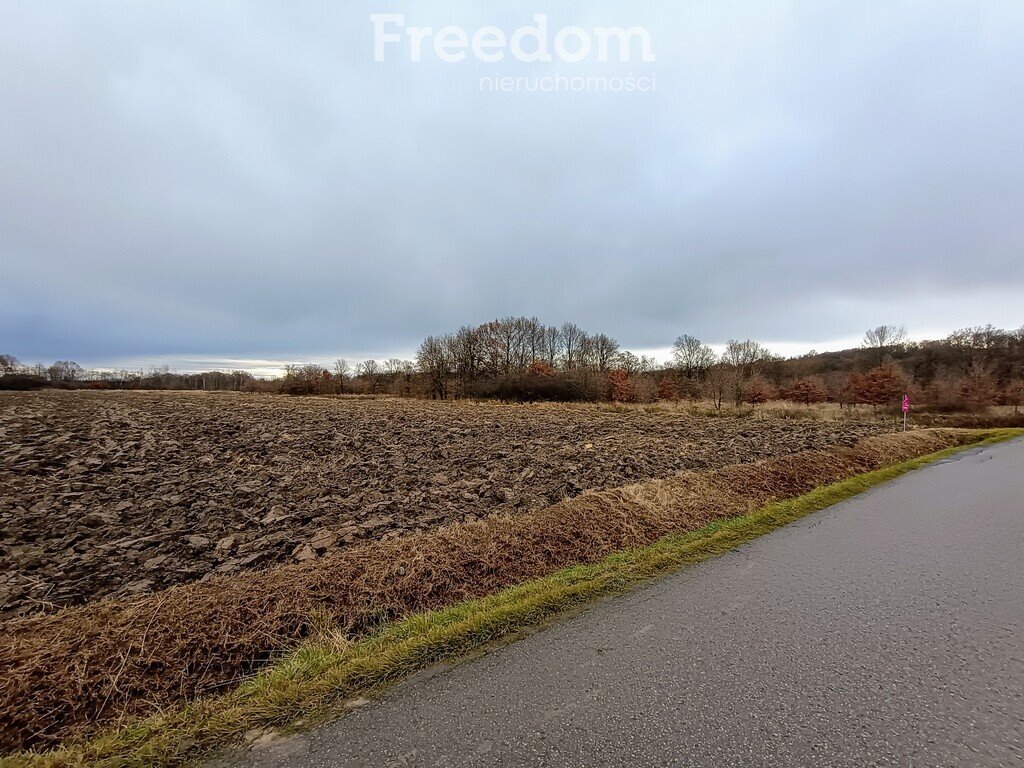 Działka budowlana na sprzedaż Chrząstowice, Długa  5 856m2 Foto 4