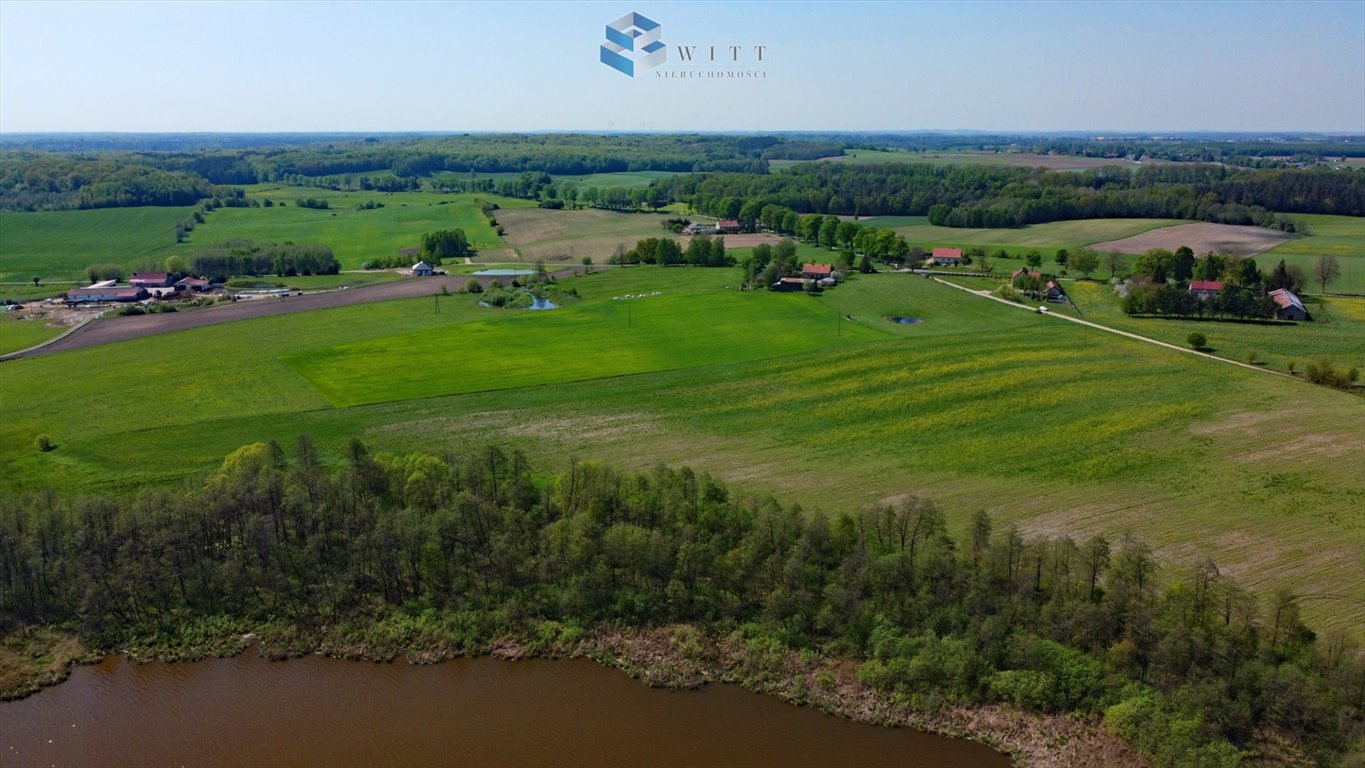 Działka inna na sprzedaż Zalewo  3 000m2 Foto 13