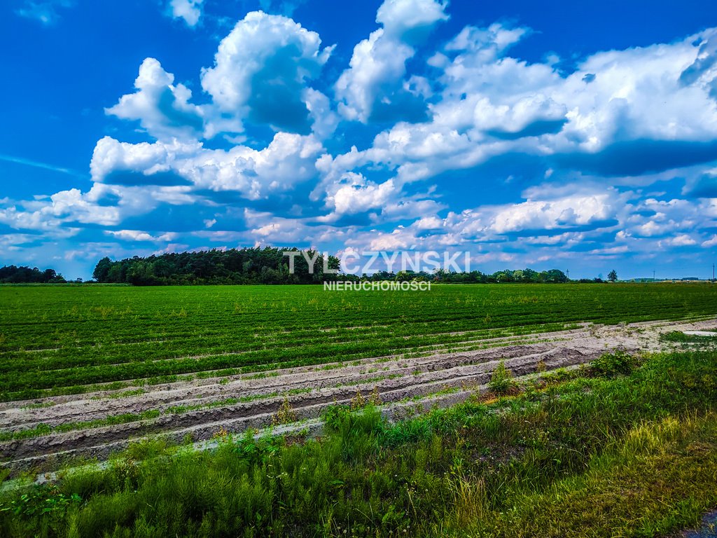 Działka rolna na sprzedaż Chlebnia  37 700m2 Foto 3