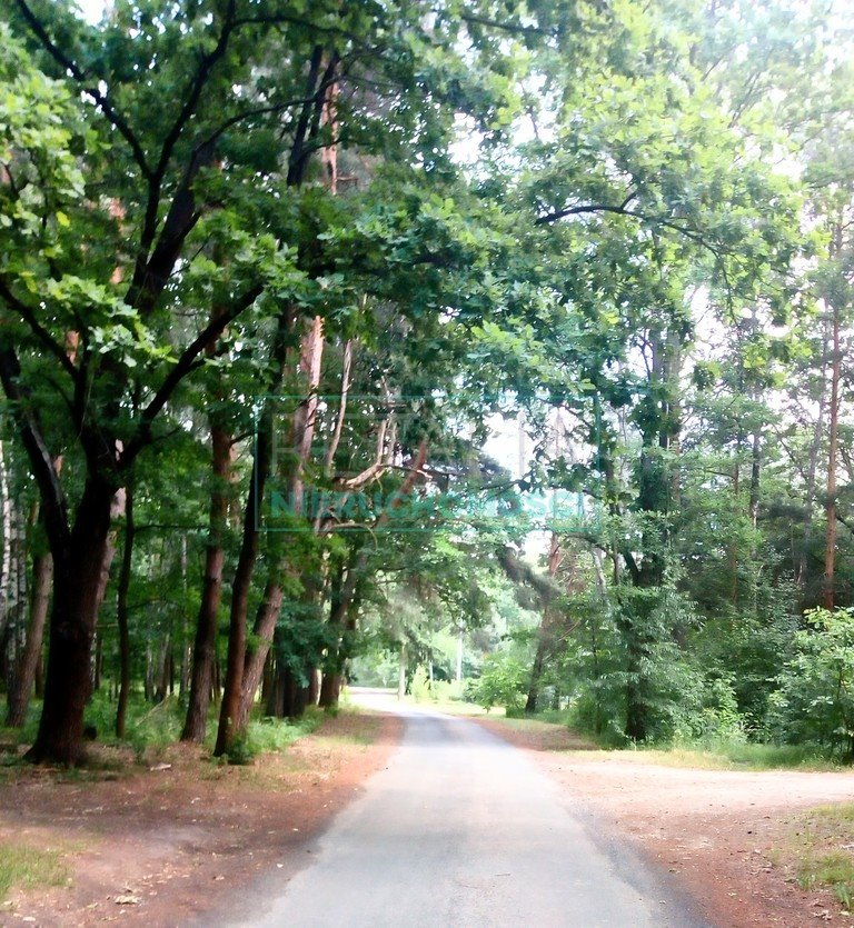 Działka budowlana na sprzedaż Radonie  500m2 Foto 2