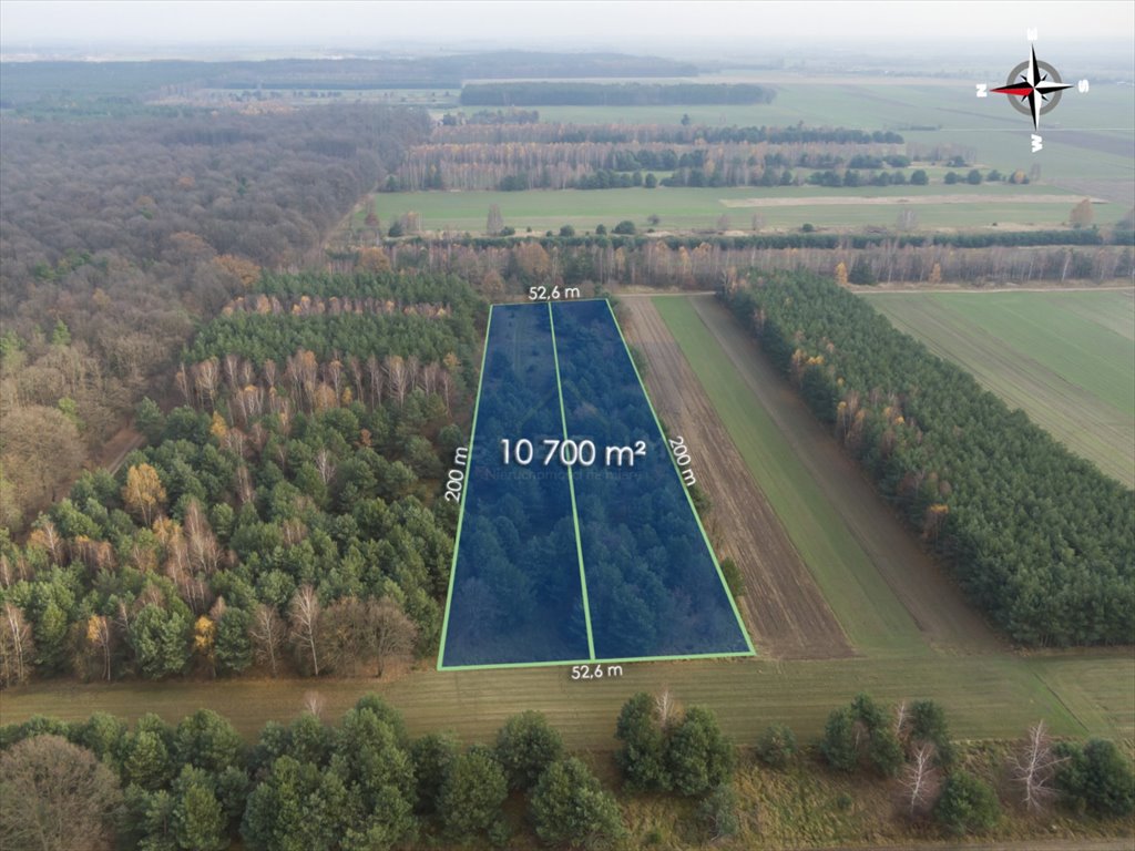 Działka leśna na sprzedaż Jedlno Pierwsze  10 700m2 Foto 3