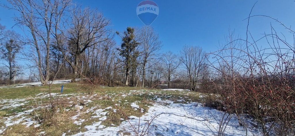 Działka inwestycyjna na sprzedaż Jasienica  20 427m2 Foto 7